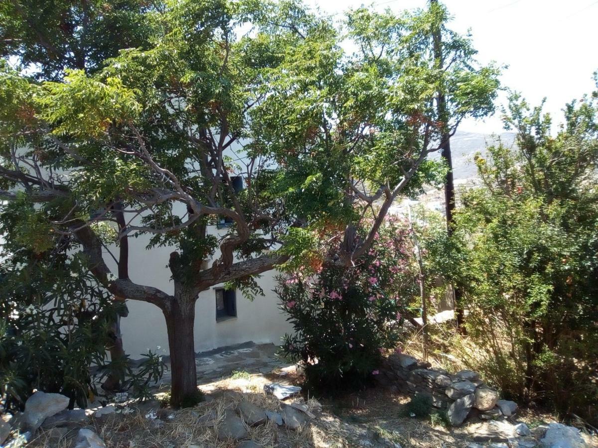 Arthome1 Panormos  Luaran gambar